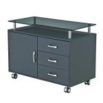 TECHNI MOBILI Rolling Storage Cabinet With Frosted Glass Top. Color: Graphite