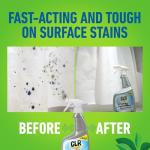 CLR Mold & Mildew Clear Bleach-Free Stain Remover Spray, Works on Bathroom Tile, Glass, Fabric, Concrete and More - 32 Ounce Spray (Pack of 2) with Brush