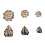 500g/1.1lb Ceramic Mosaic Tiles for Crafts,3 Size Flowers & Leaves Ceramic Mosaic Tiles Pieces for Home Decoration or DIY Crafts,Such as Mosaic Coasters, vases, Picture Frames, Cups (Brown)