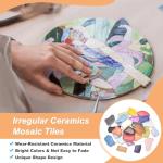 PATIKIL 500g/1.1LB Irregular Ceramics Mosaic Tiles, 0.79"-1.57" Mosaic Stained Tile Broken Porcelain Pieces Stones Bulk for DIY Craft Making Vases Home Decoration, Orange