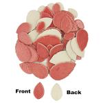 200g Leaves Shape Stained Ceramic Mosaic Tiles for Crafts, 0.9"~2" Various Sizes Mosaic Pieces, Porcelain Mosaic Tiles for Home Decoration (Red)