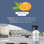 Therapy Granite Cleaner & Polish (2 Pack) - Granite Countertop Cleaner for Marble, Soapstone, Quartz, Quartzite, Slate, Limestone, Corian, Laminate, Tile Countertop, Headstone