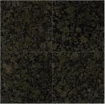 Tenedos 12x12 Ubatuba Black Gold Dark Green Speckled Polished Granite Floor Wall Tile for Kitchen Countertops, Bathroom, Entrance Floor, Backsplash, Fireplace (1 Piece)