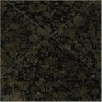 Tenedos 12x12 Ubatuba Black Gold Dark Green Speckled Polished Granite Floor Wall Tile for Kitchen Countertops, Bathroom, Entrance Floor, Backsplash, Fireplace (1 Piece)