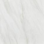 Daltile Perpetuo 12" x 12" Porcelain Marble Look Wall & Floor Tile in Matte Timeless White (13 pieces per carton) (12.22 sqft per carton)