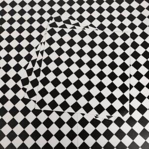 Black and White Waterproof Peel and Stick Floor Tiles