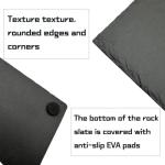 Turtle Rock Feeding Dish – 2 Pack 6"x6