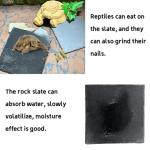 Turtle Rock Feeding Dish – 2 Pack 6"x6