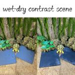 Turtle Rock Feeding Dish – 2 Pack 6"x6