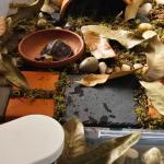 Turtle Rock Feeding Dish – 2 Pack 6"x6