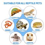 Large Reptile Basking Platform Slate Tile 15.7" x 11.8