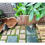 Large Reptile Basking Platform Slate Tile 15.7" x 11.8