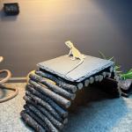 Large Reptile Basking Platform Slate Tile 15.7" x 11.8