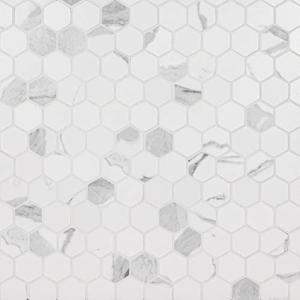 MSI Eden Statuary Hexagon Matte Porcelain Tile