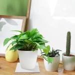 40-Pack 4x4 Inch Blank Ceramic Shower Tiles