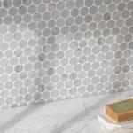 Carrara White Marble Penny Round Mosaic Tile Pack