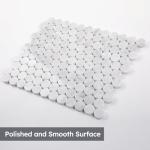 Carrara White Marble Penny Round Mosaic Tile Pack