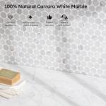 Carrara White Marble Penny Round Mosaic Tile Pack