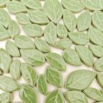 Light Green Leaf-Shaped Ceramic Mosaic Tiles