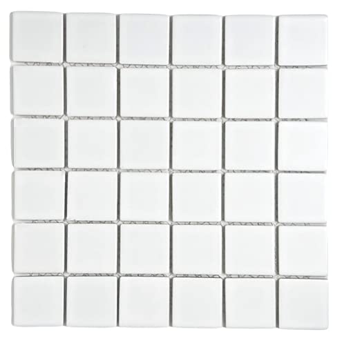 Premium Matt White 2x2 Porcelain Mosaic Tile