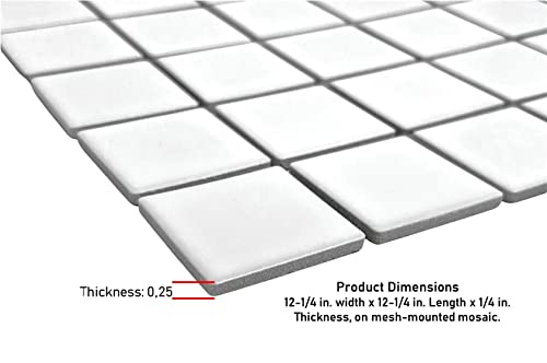 Premium Matt White 2x2 Porcelain Mosaic Tile