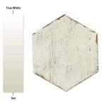 SomerTile FNURTXBL Vintage Hex Porcelain Floor and Wall Tile, 14.125" x 16.25", White/Brown