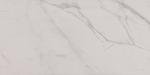Daltile 12" x 24" Matte Porcelain Floor Tile