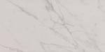 Daltile 12" x 24" Matte Porcelain Floor Tile