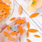 Youway Style Orange Leaf Mosaic Tiles for Crafts Bulk,200g Petal Mosaic Glass Pieces,Flower Glass Tiles for Christmas Mosaic Decorations,Garden Mosaic Supplies Kit