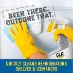 CLR Calcium, Lime & Rust Remover Spray 22oz