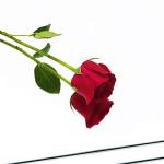 Frameless Full-Length Shower Floor Mirror Tiles