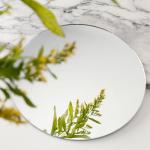 DARENYI 8 inch Glass Round Mirror Circle Wall Mounted for Bathroom, Living Room, Home Decor, Small Round Mirror Plate Trays for Wedding Table Centerpieces