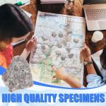 Tandefio 24 Pack Oolitic Limestone 1" Limestone Rock Sedimentary Rock Specimens for Aquarium Experiment Back to School Science Classrooms Class Teaching Aid, Ages 8 up