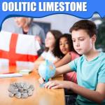 Tandefio 24 Pack Oolitic Limestone 1" Limestone Rock Sedimentary Rock Specimens for Aquarium Experiment Back to School Science Classrooms Class Teaching Aid, Ages 8 up