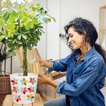 Csdtylh 1000 Pcs Mosaic Tiles, Glass Mosaic Tiles for Crafts Bulk, Stained Mosaic Glass Pieces, Mosaic Supplies for Home Decoration, Art Crafts, DIY Projects, Opaque (Rhombus)