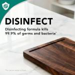 Weiman Disinfectant Granite Daily Clean & Shine - 12 fl oz (2 Pack) Safely Clean Disinfect and Shine Granite Marble Soapstone Quartz Quartzite Slate Limestone Corian Laminate Tile Countertop