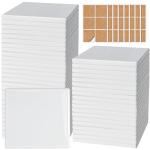 48 Glossy Ceramic Shower Floor Tiles for DIY