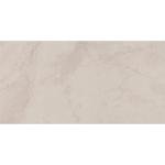 Daltile Archaia 12 x 24 Glazed Porcelain Floor Tile (9 PC Per Carton) (17.60 SQFT Per Carton)