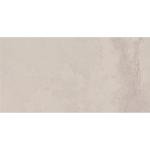 Daltile Archaia 12 x 24 Glazed Porcelain Floor Tile (9 PC Per Carton) (17.60 SQFT Per Carton)
