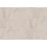 Daltile Archaia 12 x 24 Glazed Porcelain Floor Tile (9 PC Per Carton) (17.60 SQFT Per Carton)