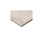 Daltile Archaia 12 x 24 Glazed Porcelain Floor Tile (9 PC Per Carton) (17.60 SQFT Per Carton)