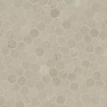MSI Sande Cream 2" Hexagon Matte Porcelain Tile