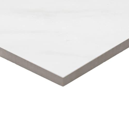 Daltile 8" Hexagon Matte White Porcelain Tile