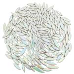 Iridescent White Leaf Petal Mosaic Tiles, 500g