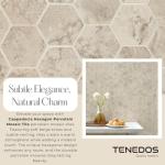 Cappadocia Hexagon Porcelain Mosaic Tile 12x12