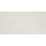 Daltile Wanderwise 12x24 Glazed Porcelain Tile