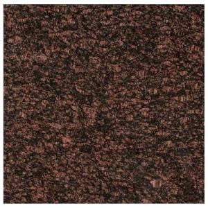 12 in. x 12 in. Tan Copper Brown Speckled Polished Granite for Kitchen Countertops, Bathroom Walls, Entrance Floors, Backsplash, and Fireplace Surround – Natural Stone Surface (1 Piece)