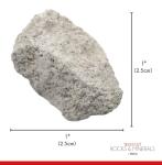 EISCO 6PK Oolitic Limestone, Sedimentary Rock Specimens - Approx. 1" - Geologist Selected & Hand Processed - Great for Science Classrooms - Class Pack