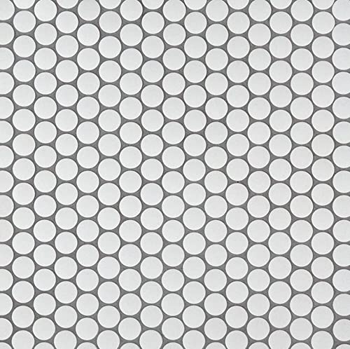 White Unglazed Penny Round Porcelain Mosaic Tiles