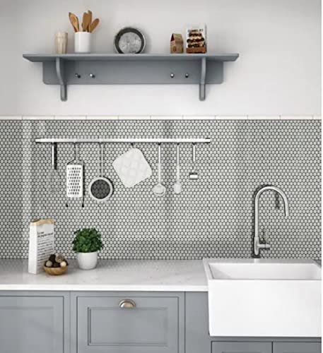 White Unglazed Penny Round Porcelain Mosaic Tiles